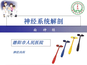 神经解剖讲课模.ppt