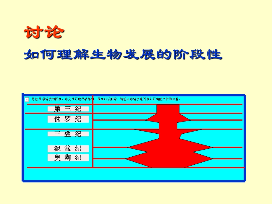 肢动物与笔石动物.ppt_第2页