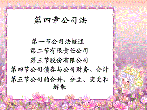 四章节公司法新231.ppt