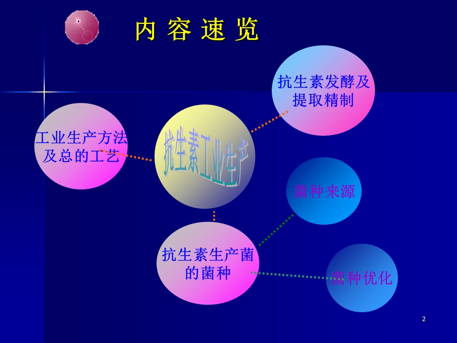 抗生素生产工艺系列.ppt_第2页