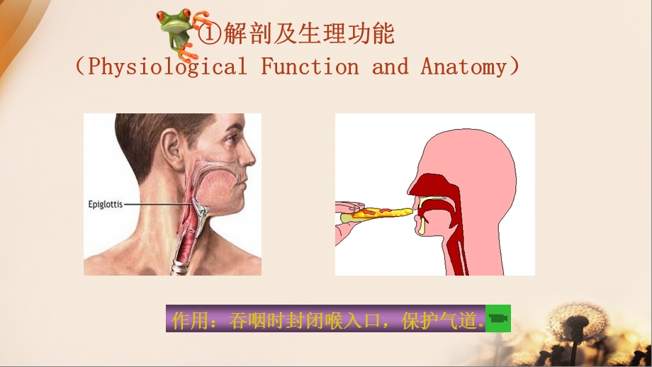 精美急性会厌炎课件.ppt_第3页