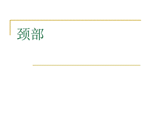 局部解剖学颈部.ppt