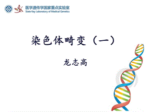 细胞遗传学-染色体畸变(一).ppt