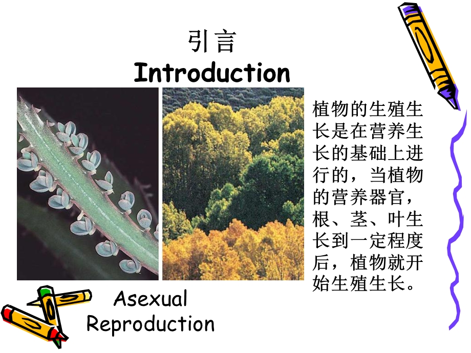 植物的成花生理和生殖生理.ppt_第2页