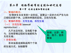 植物界的有性生殖和世代交替.ppt