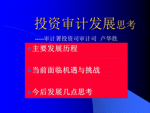 投资审计卢华胜.ppt