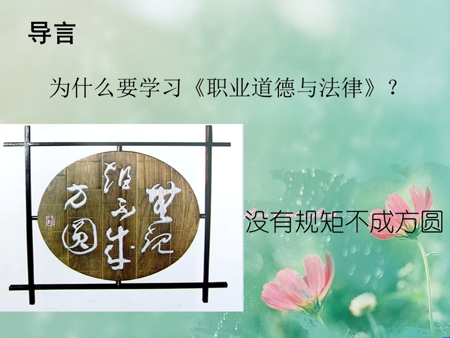 职业道德与法律导言ppt.ppt_第2页