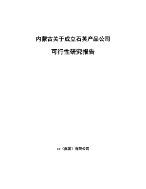 内蒙古关于成立石英产品公司可行性研究报告.docx