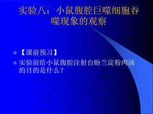 实验十小鼠腹腔巨噬细胞吞噬现象的观察.ppt