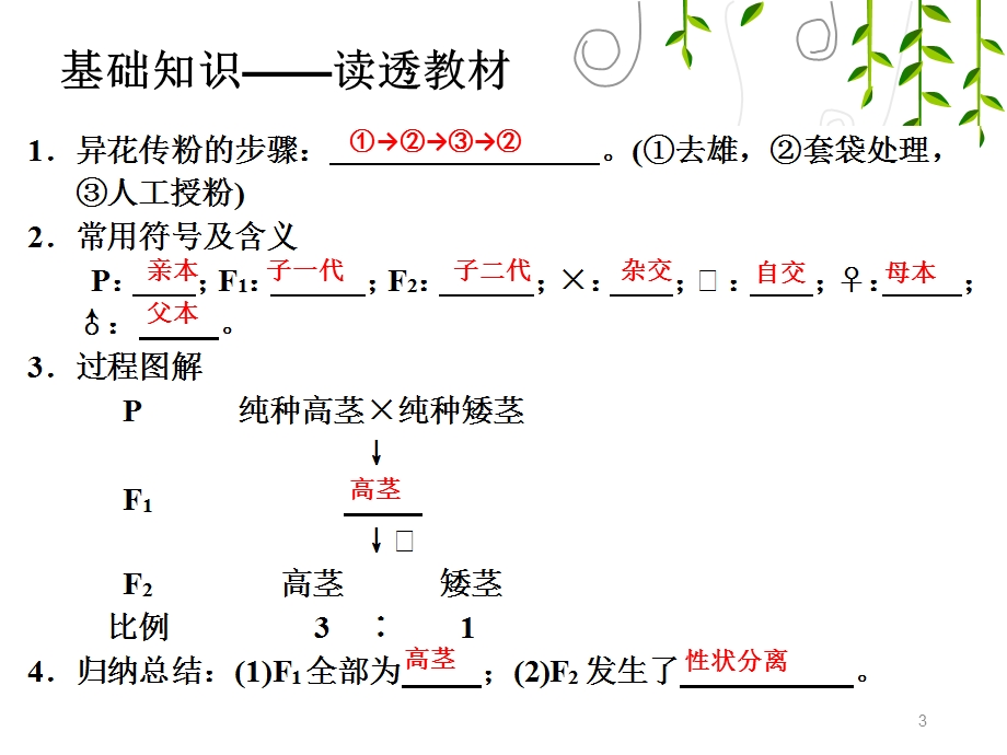 孟德尔豌豆杂交实验(一)一轮复习.ppt_第3页