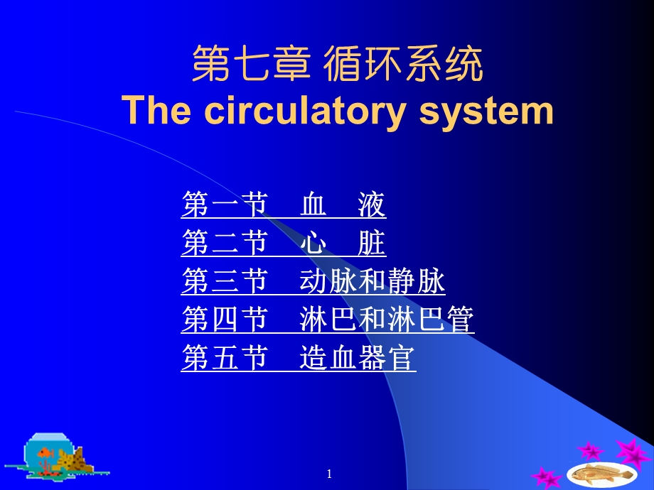 七章循环系统Thecirculatorysystem.ppt_第1页