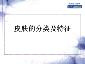 皮肤的分类及特征.ppt