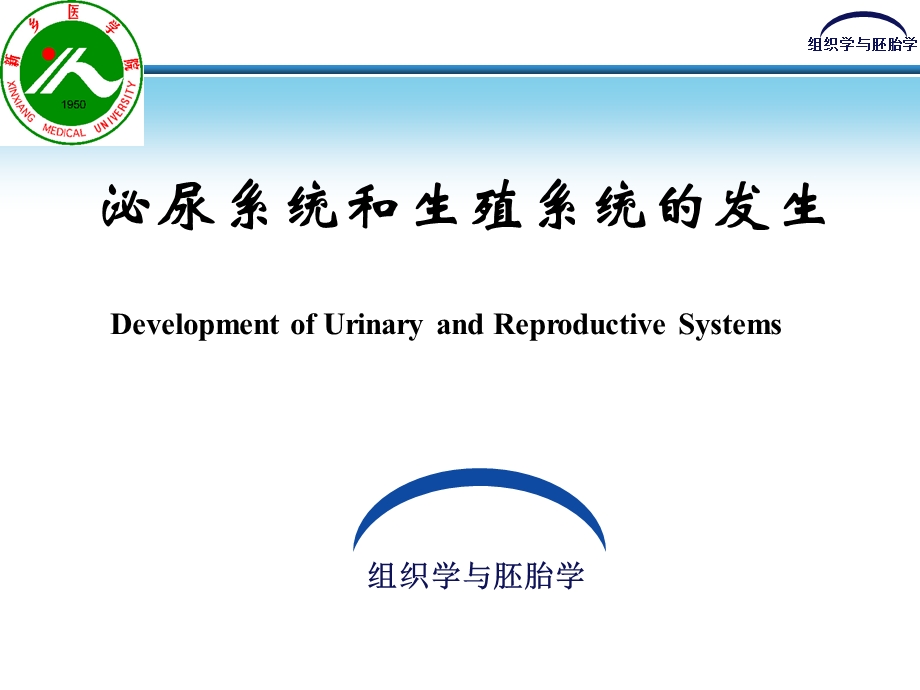 泌尿系统和生殖系统的发生.ppt_第2页