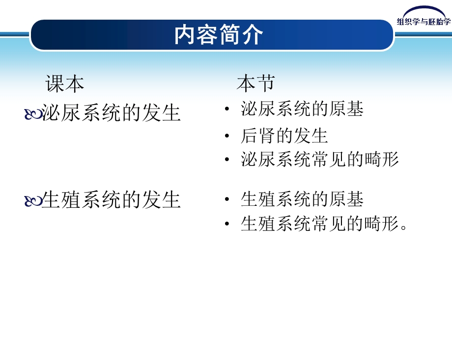 泌尿系统和生殖系统的发生.ppt_第3页