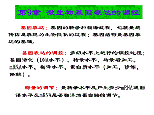 微生物基因表达的调控.ppt