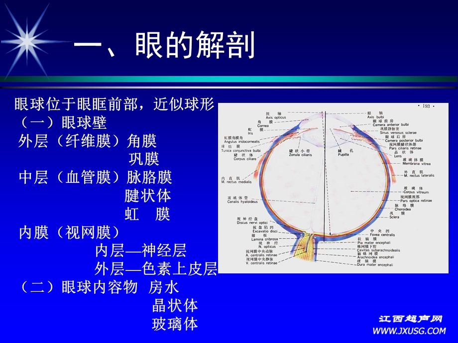 眼球及眼部疾病的超声诊断朱皖.ppt_第2页