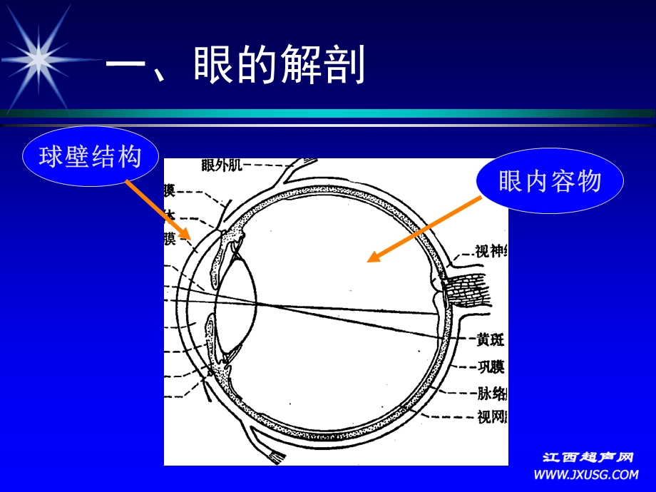 眼球及眼部疾病的超声诊断朱皖.ppt_第3页