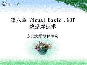 六章节VisualBasicNET数据库技术.ppt