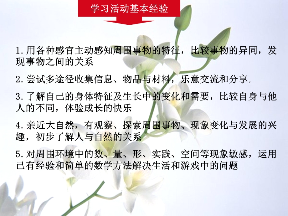 幼儿园学习活动的内容要求与实施指导.ppt_第3页