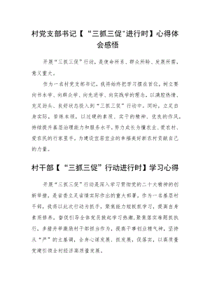 村党支部书记【“三抓三促”进行时】心得体会感悟范文(3篇).docx