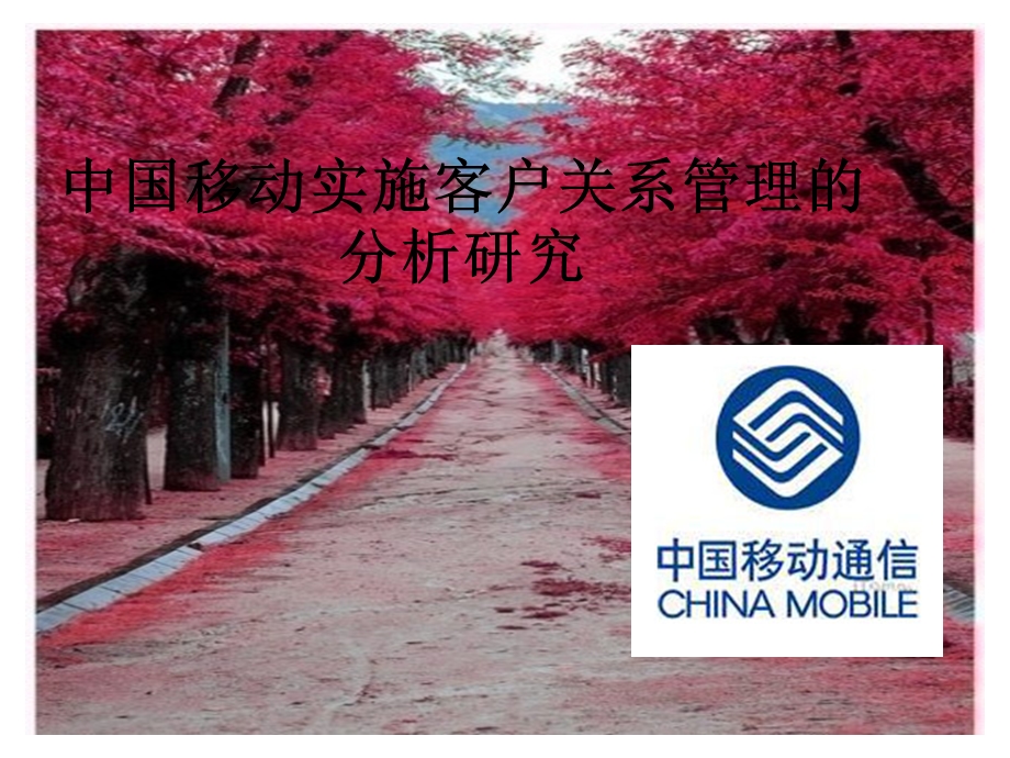 中国移动CRM分析.ppt_第2页