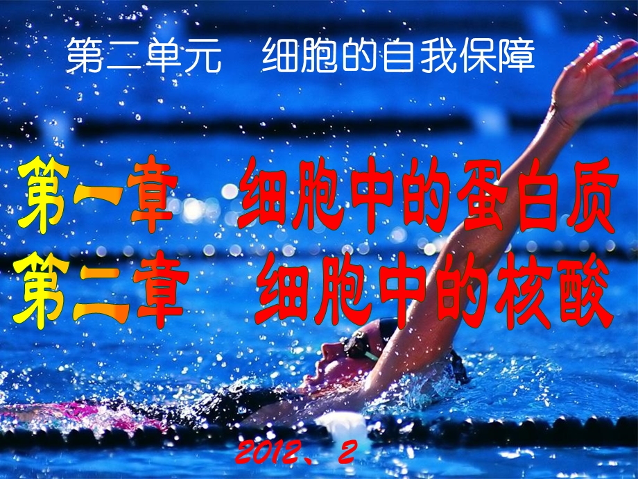 细胞的自我保障.ppt_第1页