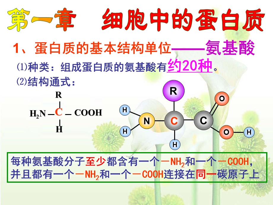 细胞的自我保障.ppt_第2页