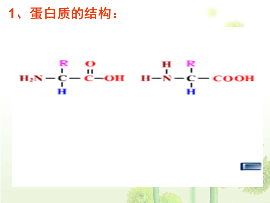 细胞的自我保障.ppt_第3页