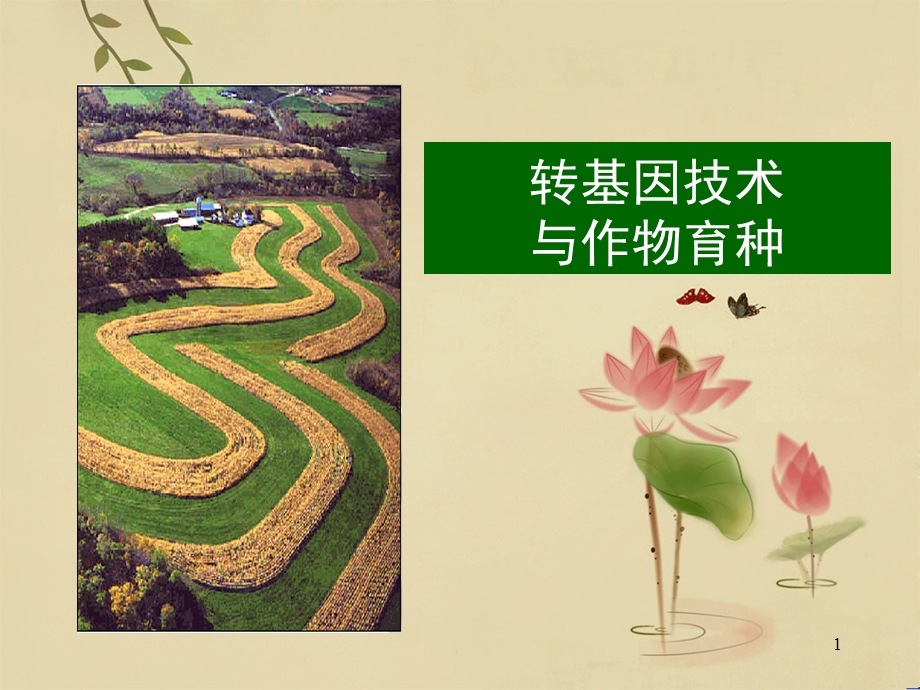 植物的转基因技术.ppt_第1页