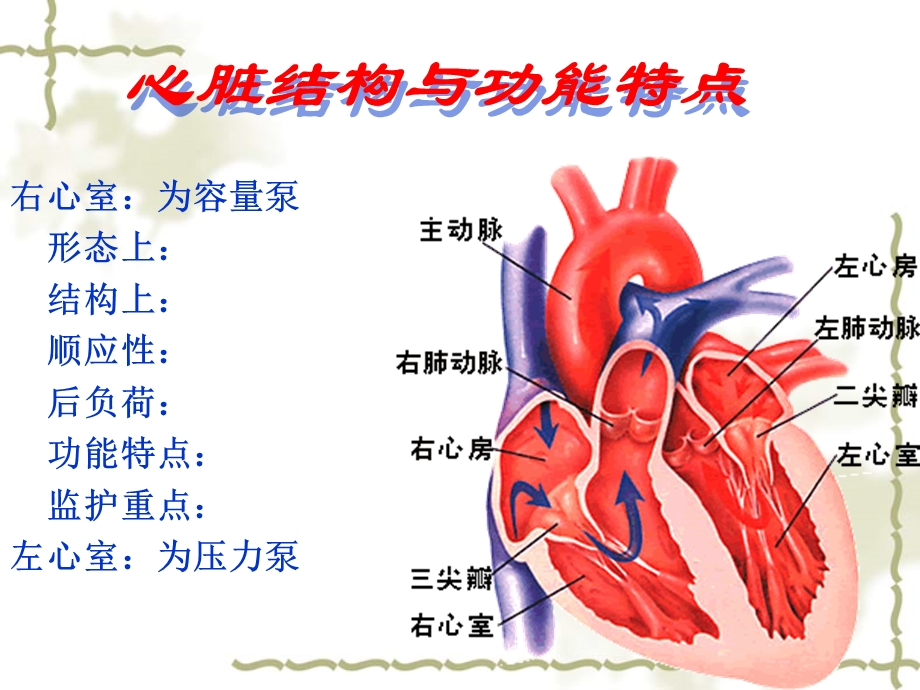 PTCA术患者的护理.ppt_第2页