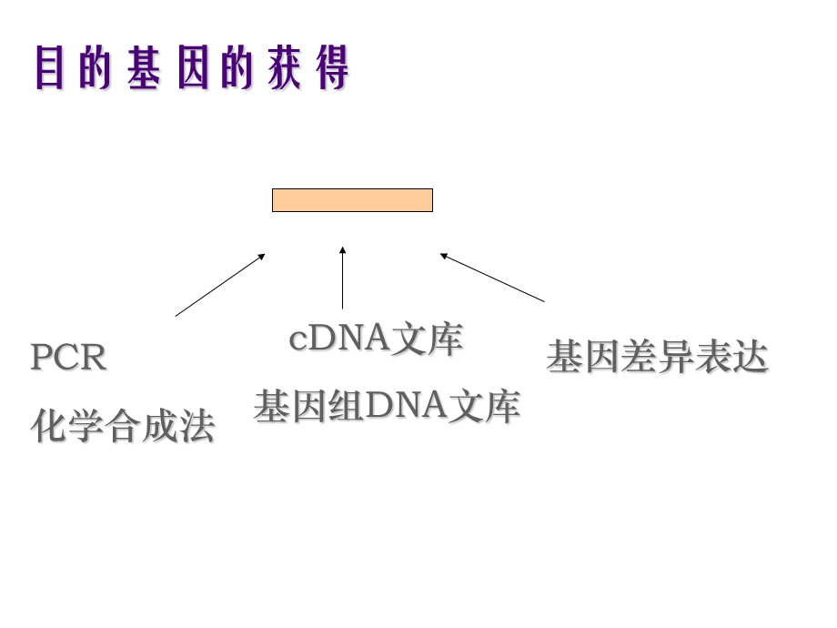 目的基因的获得.ppt_第3页