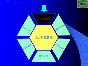 HR教案人力资源规划篇.ppt