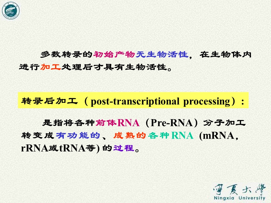 真核生物转录后的加工.ppt_第2页