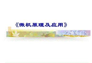 微处理器及其体系结构.ppt