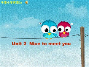 牛津苏教三上Unit2Nicetomeetyou课件之二.ppt