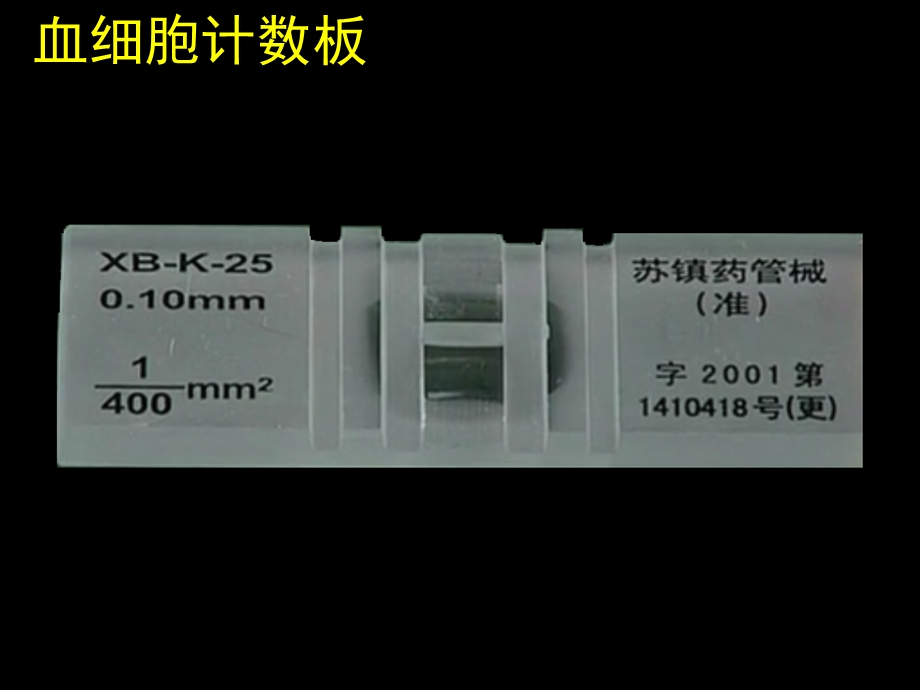 酵母菌种群数量的变化.ppt_第3页