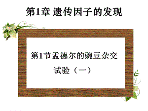 孟德尔的豌豆杂交试验 (I).ppt