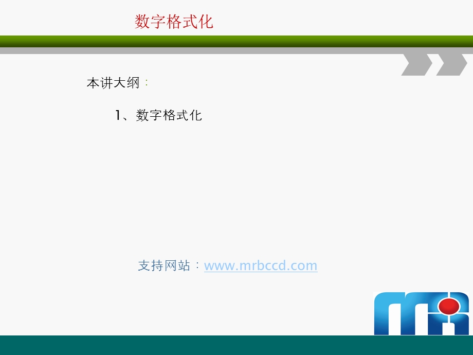 数字格式化.ppt_第1页