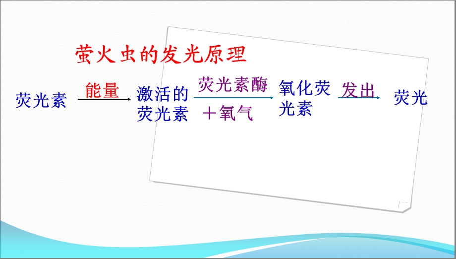 细胞的能量通货-ATP.ppt_第3页