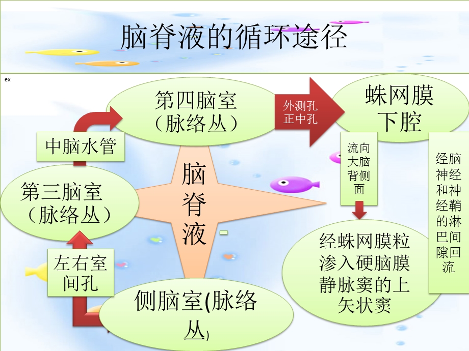 颅脑术后脑室引流的护理ppt.ppt_第3页