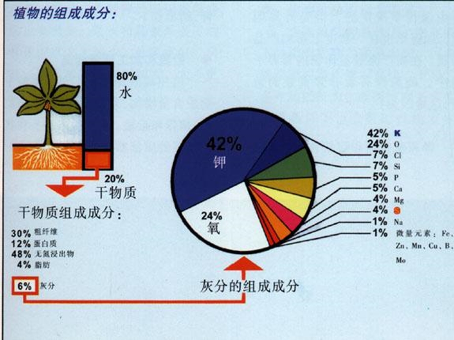 植物的营养元素.ppt_第3页