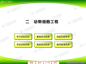 422动物细胞工程.ppt