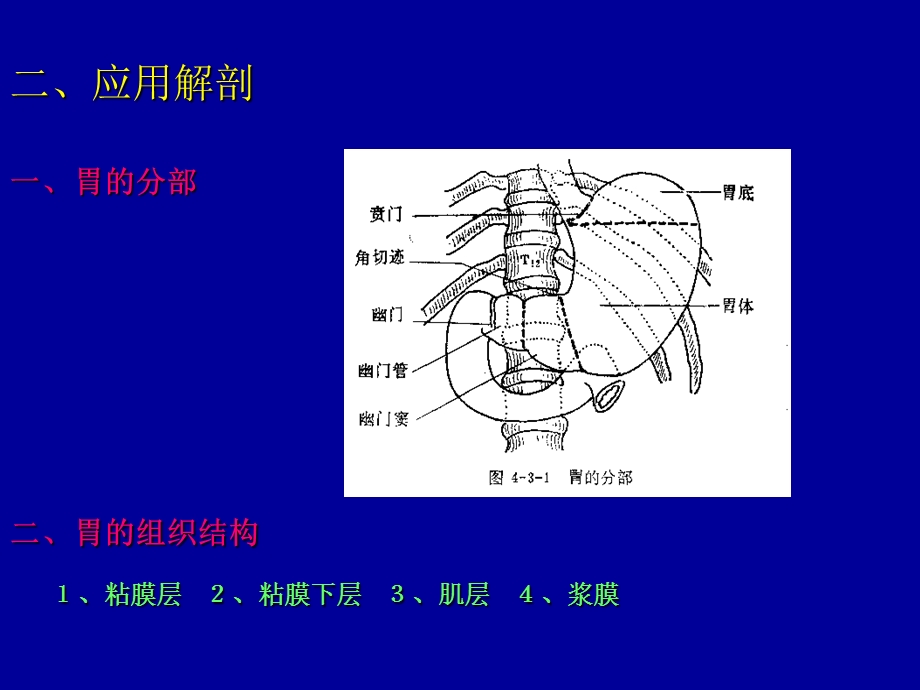 胃癌的诊治进展.ppt_第3页