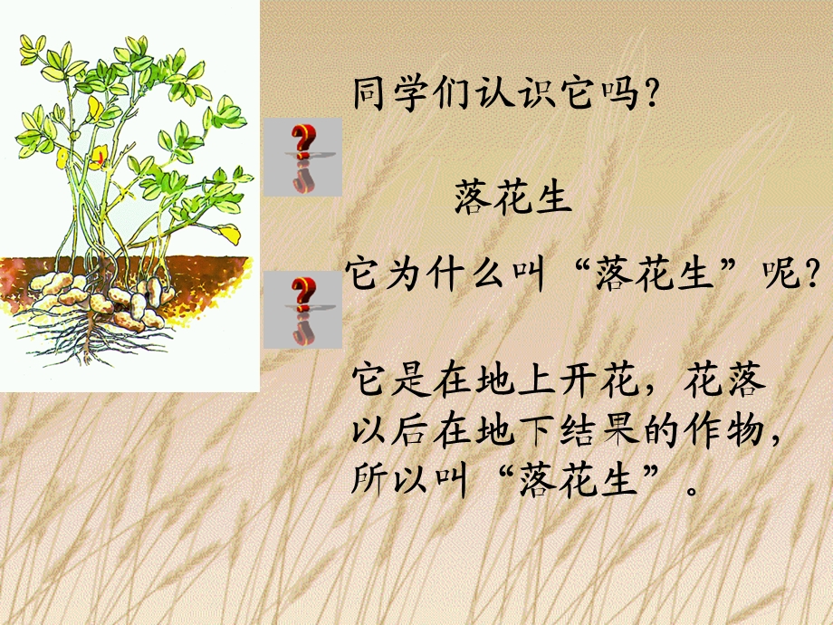 同学们认识它.ppt_第1页