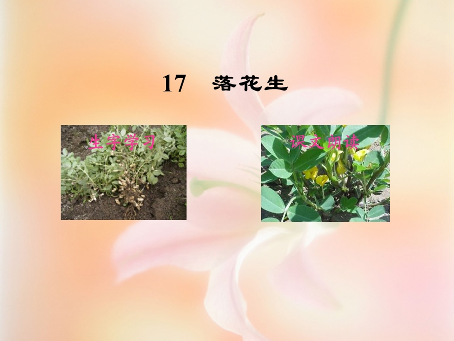 同学们认识它.ppt_第2页