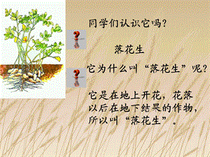 同学们认识它.ppt