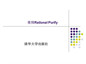 RationalPurify使用教程.ppt.ppt