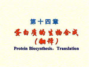 生化14蛋白质的生物合成(翻译).ppt