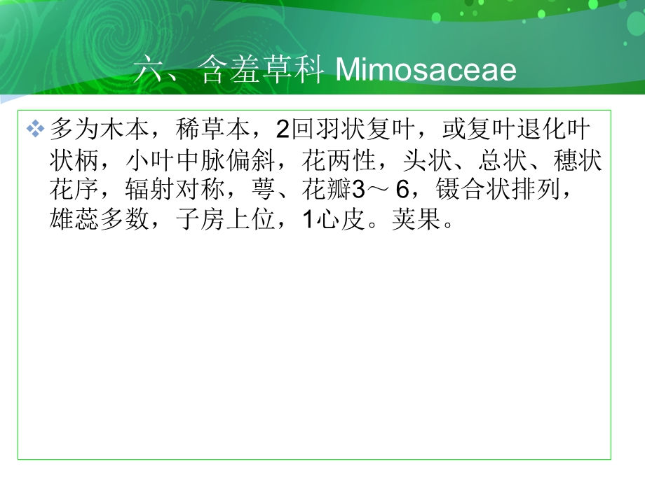 六含羞草科Mimosaceae.ppt_第1页