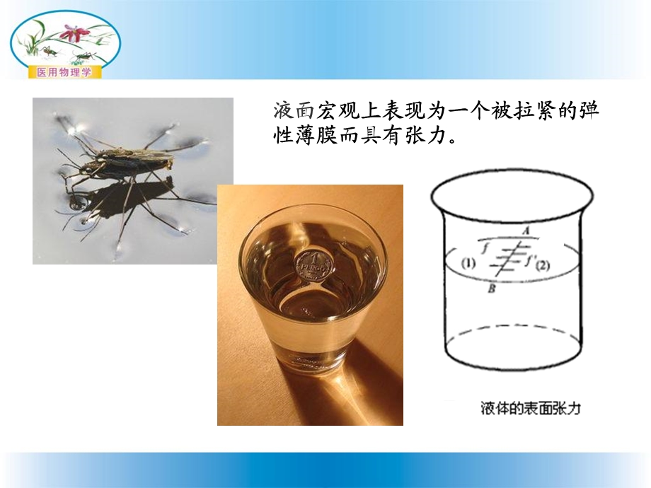 液体的表面性质.ppt_第3页